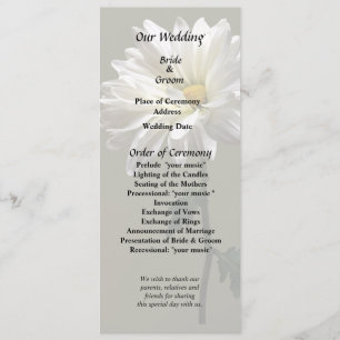 A White Daisy Programme