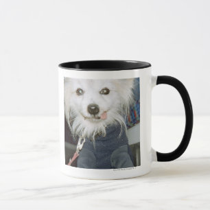 A white dog wearing clothes. mug