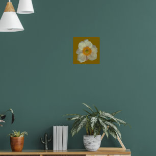 A white flower poster