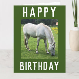 A White Horse Image on a Birthday Card