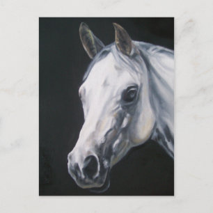 A White Horse Postcard