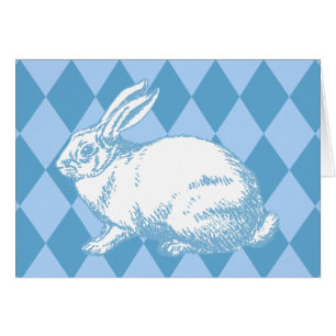 A White Rabbit