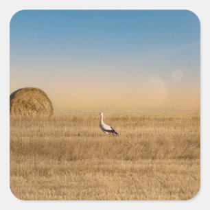 A white stork  square sticker