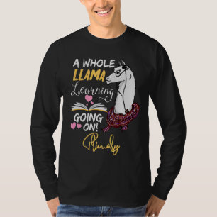 A Whole Llama Learning Going On In Primary   T-Shirt