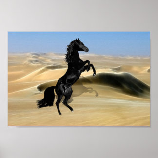 A wild rearing black stallion poster