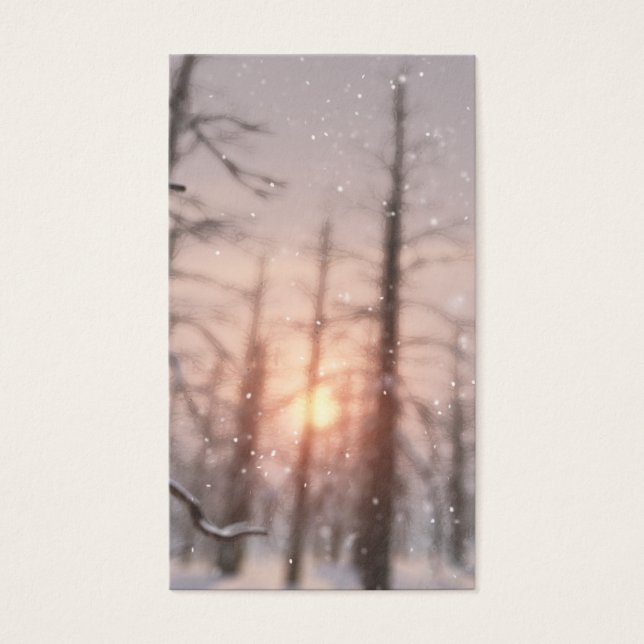 A Winter Night's Dream Bookmarks (Front)