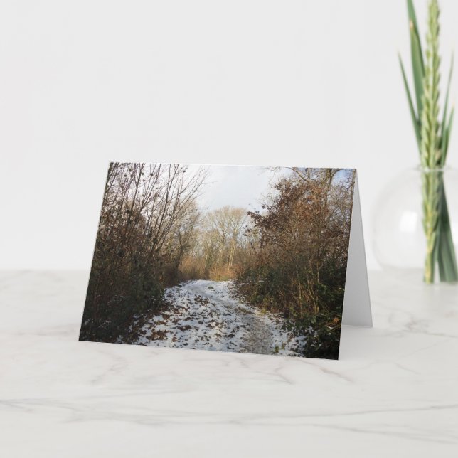 A winter path At Arnside Thank You Card (Front)