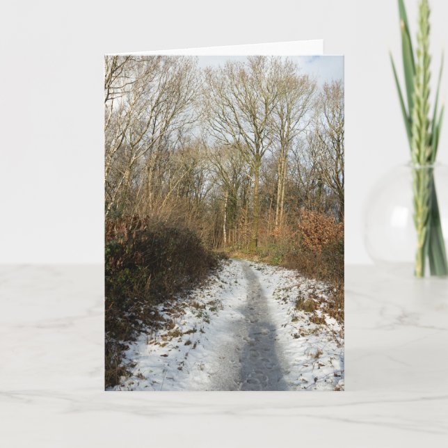 A winter path at Arnside Thank You Card (Front)