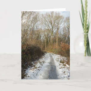 A winter path at Arnside Thank You Card