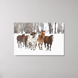 A winter scenic of running canvas print