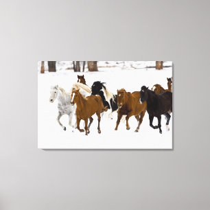 A winter scenic of running horses canvas print