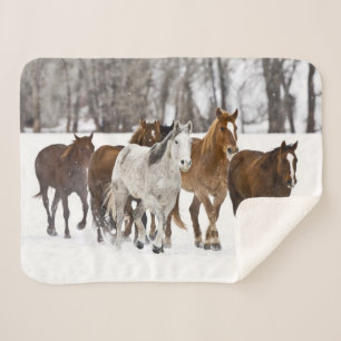 A Winter Scenic of Running Horses Sherpa Blanket