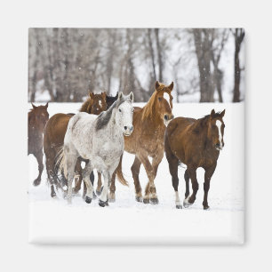 A winter scenic of running magnet