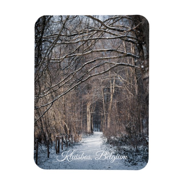 A Winters Day in Kluisbos Belgium Magnet (Vertical)