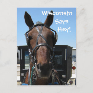 A Wisconsin Hey! Postcard