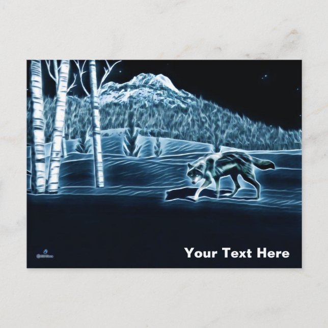 A Wolf On Snow Postcard (Front)