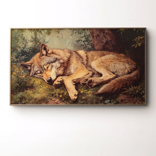 A Wolf Sleeping In The Forest Poster