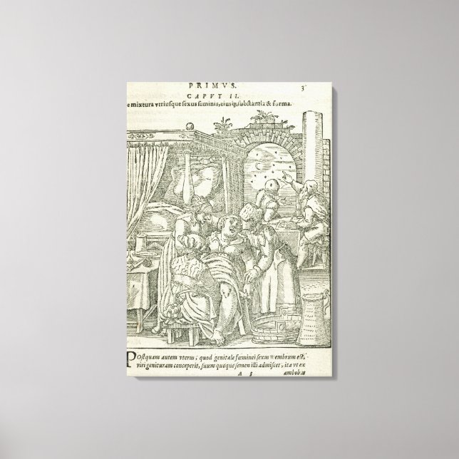 A Woman in Labour, illustration from chapter 2, Bo Canvas Print (Front)