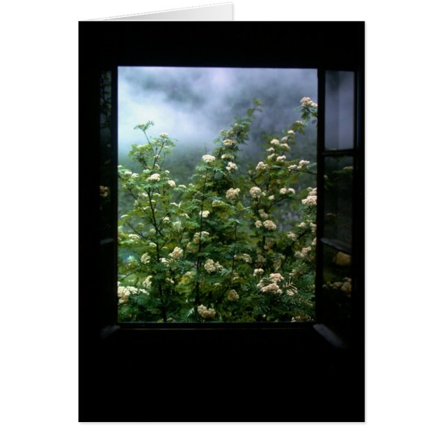 A WOMAN IN LOVE (Front)