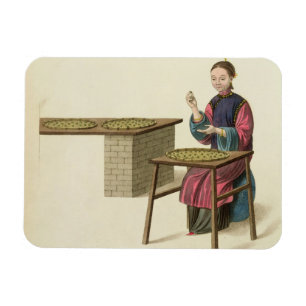 A Woman Preparing Tea, plate 21 from 'The Costume Magnet
