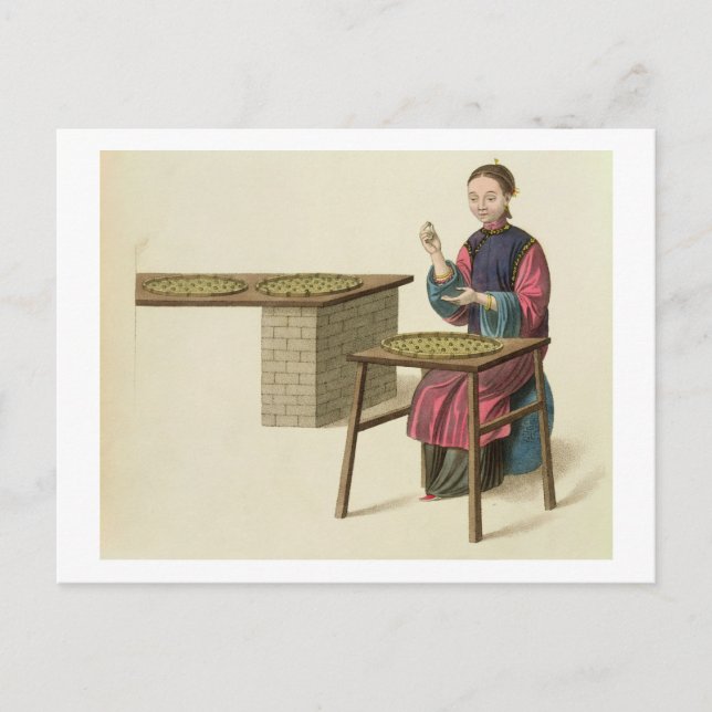 A Woman Preparing Tea, plate 21 from 'The Costume Postcard (Front)