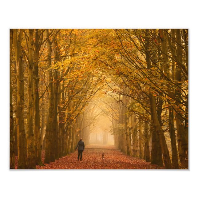 A woman walking with dog on a fall morning photo print (Front)