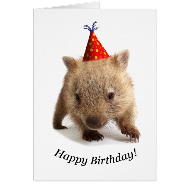 A wombat happy birthday (Front)