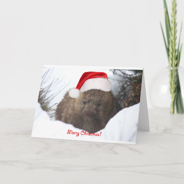 A wombat merry Christmas from Down Under Holiday Card (Front)