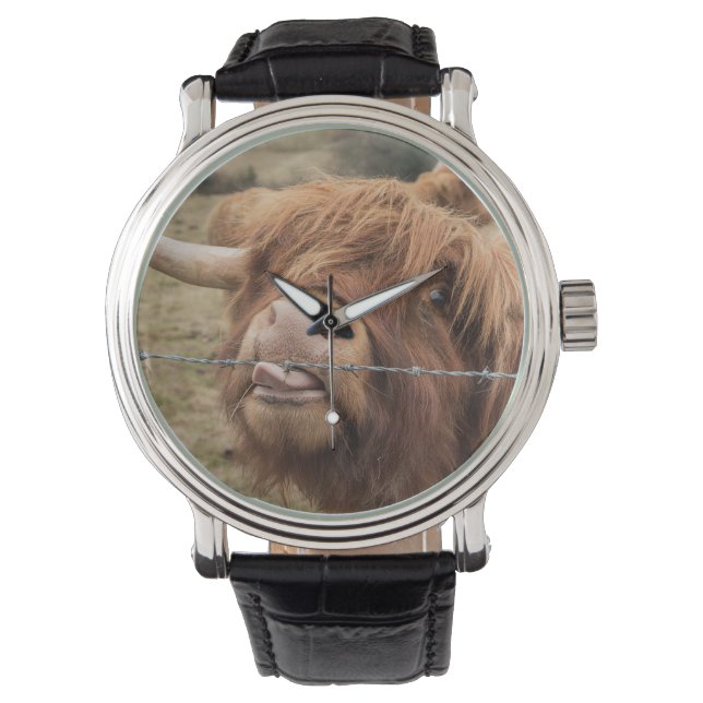 A wonderful photograph of a highland cow watch (Front)