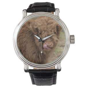 A wonderful photograph of a highland cow watch