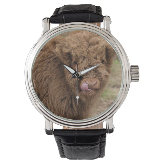 A wonderful photograph of a highland cow watch (Front)