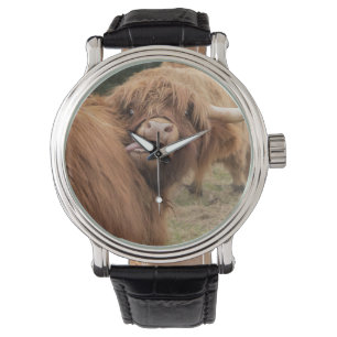 A wonderful photograph of a highland cow watch