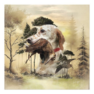 A Woodcock with the English setter Photo Print