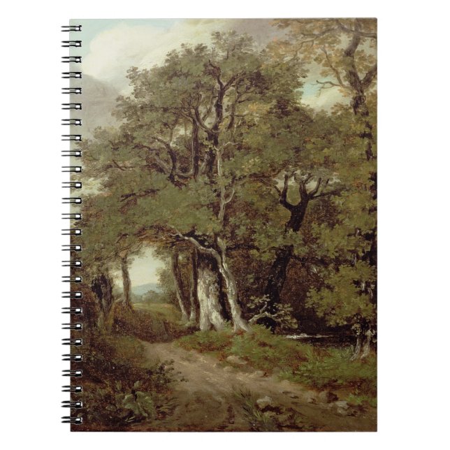A Wooded Path Spiral Notebook (Front)