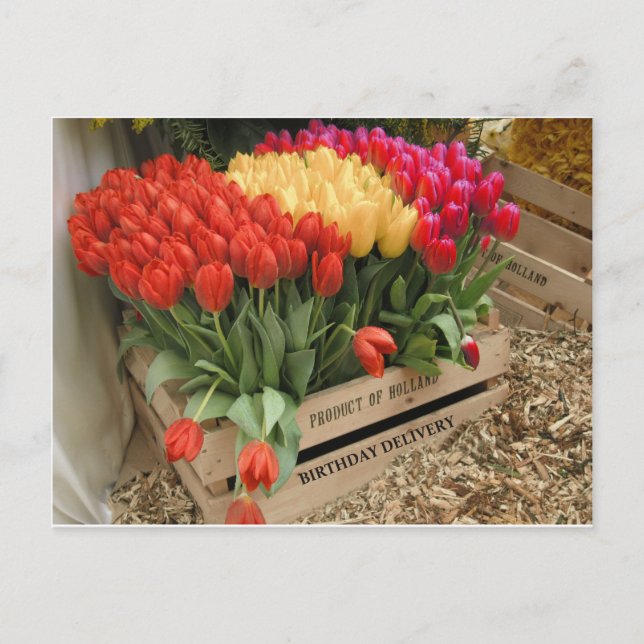 A wooden crate with tulips postcard (Front)