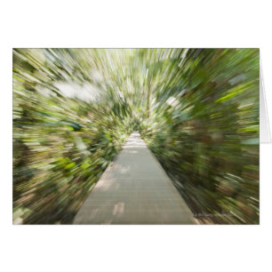 A wooden path through the rainforest in warped