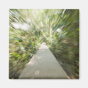 A wooden path through the rainforest in warped magnet