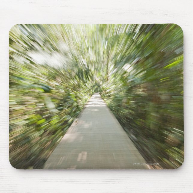 A wooden path through the rainforest in warped mouse pad (Front)
