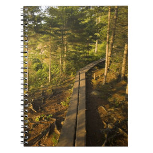 A wooden walkway in Acadia National Park Maine Spiral Notebook