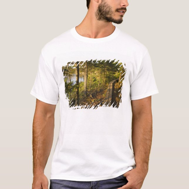 A wooden walkway in Acadia National Park Maine T-Shirt (Front)