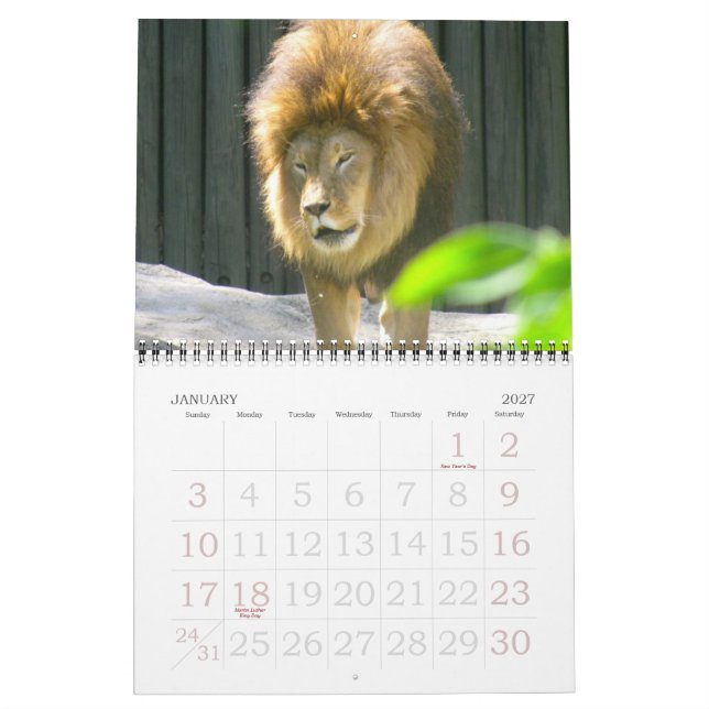 A WORLD OF ANIMALS calendar (Jan 2027)