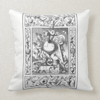 A World of Vanity Pillow