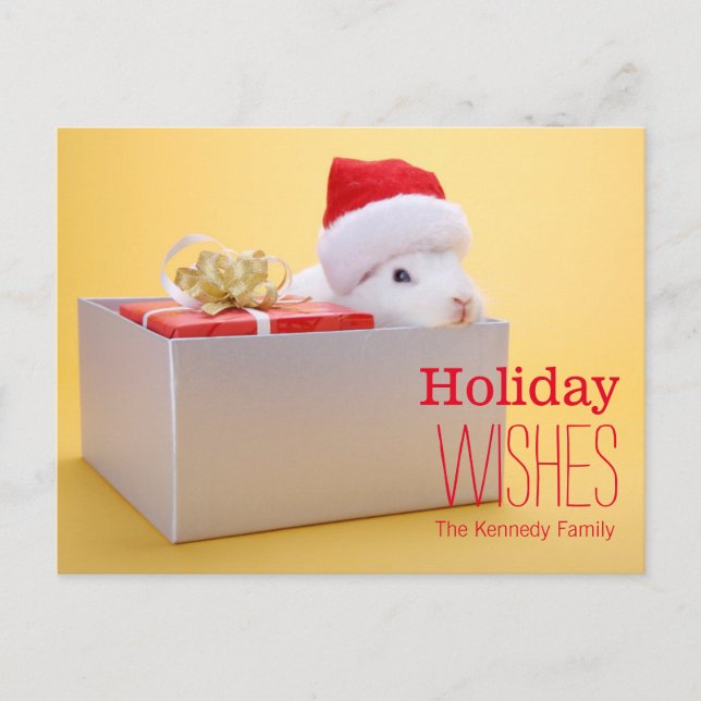 A wrapped gift and a rabbit with Santa Holiday Postcard (Front)