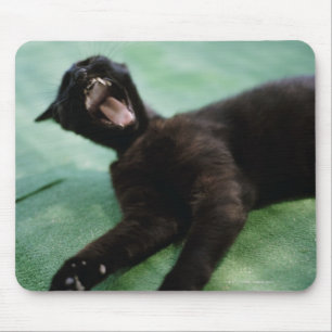 A yawning cat. mouse pad