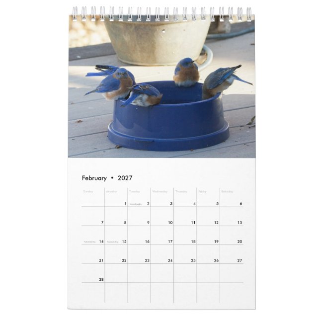 A Year Full of  Bluebirds Calendar (Feb 2027)