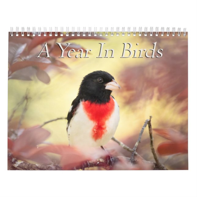 A Year In Birds Calendar (Cover)