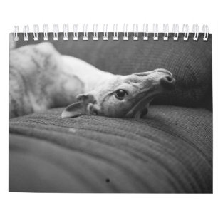 A Year In The Life of Enzo Calendar