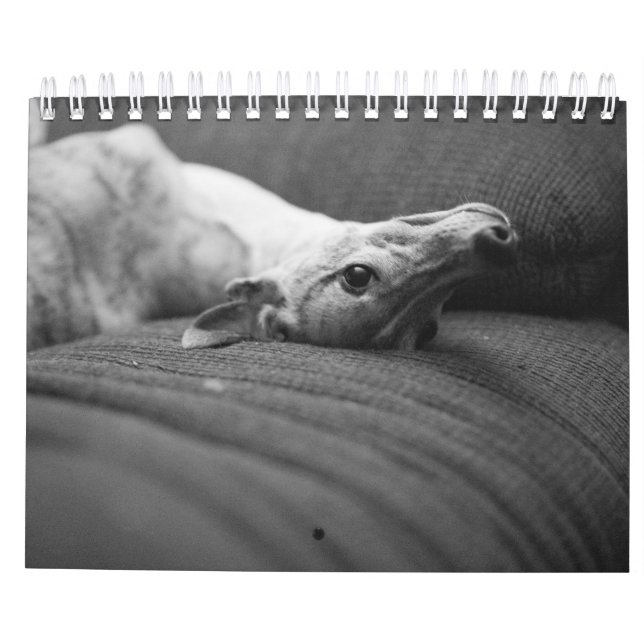 A Year In The Life of Enzo Calendar (Back)