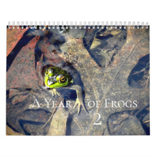 A Year of Frogs 2 Calendar