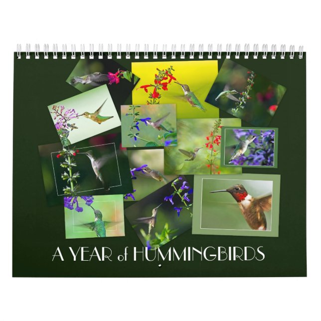 A Year of Hummingbirds Calendar (Cover)